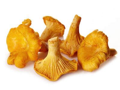 Furthermore, food manufacturers often add them to crackers, muffins, and other baked goods to help if you get hungry in between meals, it's better to eat nuts or a few low carb vegetables with an ounce of cheese. Frozen Whole Chanterelles/ 1Kg. Pack - Phuket Food