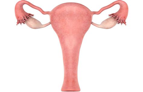 Swollen Uterus