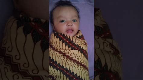 Uploaded by kutukupret on march 17, 2018. Baby kayla udah gede masih suka d bedong - YouTube