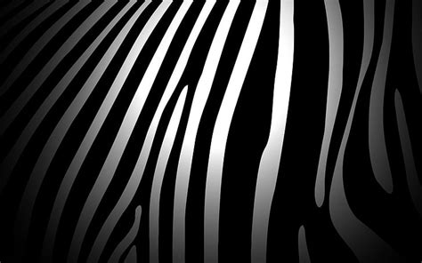 black and white zebra patterns