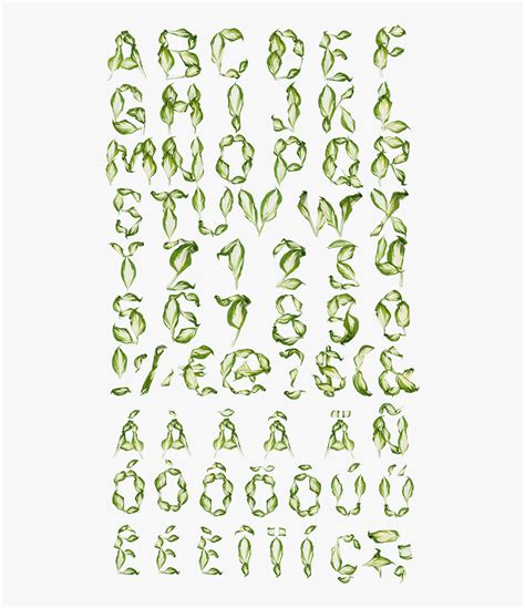 Pipal Leaves Font Alphabet Nature Font Abecedario Nature Font