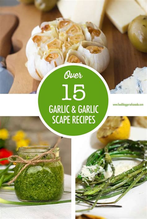 Over 15 Ways To Use Garlic And Garlic Scapes Scape Recipe Food