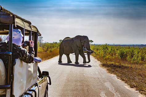 16 day luxury African safari with Chobe Princess River Cruise and ...