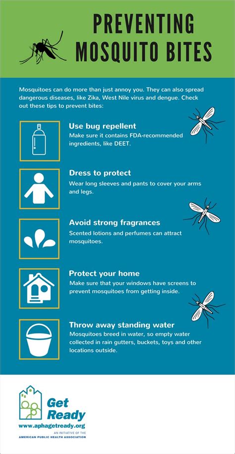 Preventing Mosquito Bites Infographic Infographics