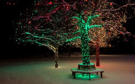 Trees Lights Christmas Winter Snow Park Wallpapers Hd