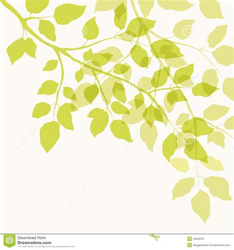 Branch With Green Leaves Stock Vector Illustration Of Forest 29506331