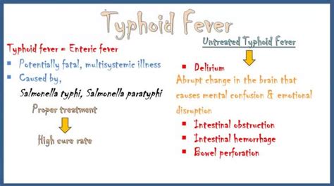 Typhoid Fever Causes Pathogenesis Signs And Symptoms Diagnosis