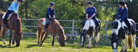 Horse Riding In London 14 Best Riding Schools For All Ages My Baba