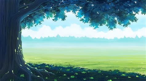 Anime Landscaope Forest Grass Anime Hd Wallpaper Wallpaperbetter