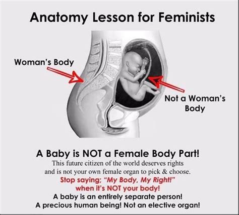 Are we going into a boss battle, or what? Feminism