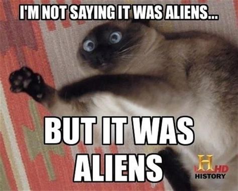 Yup It Was Aliens Animal Memes Funny Animals Cute Animals Funniest