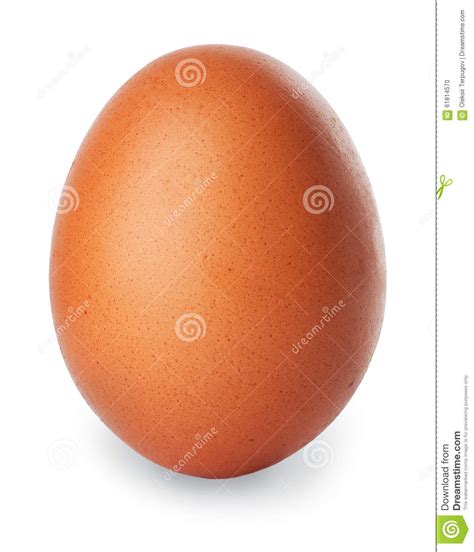Single Brown Chicken Egg Isolated On White Stock Photo Image Of
