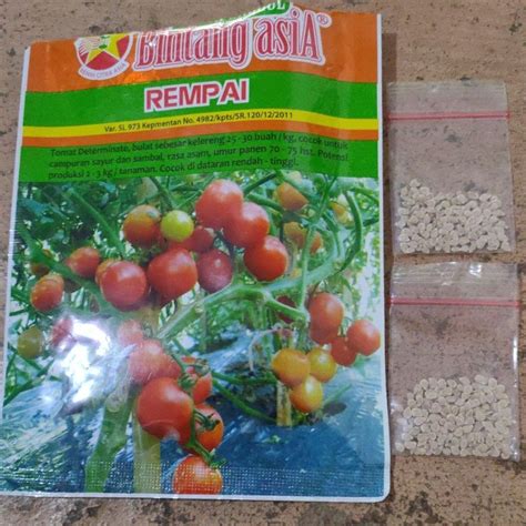 Jual Benih Tomat Ceri Rempai Repack Shopee Indonesia