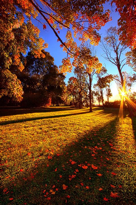 First Day Of Fall By Phil Koch On 500px In 2019 Autumn Art Autumn