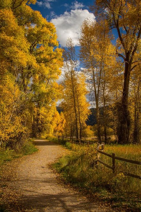 Aspen Autumn Pathway By Forrest Boutin On 500px Paisajes Paisaje De