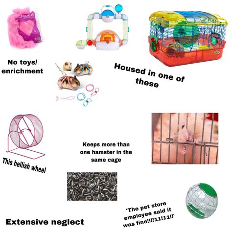 ‘my Hamster Died A Painful And Premature Death Starterpack R
