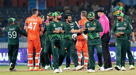 pakistan vs netherlands world cup 2023 highlights haris rauf takes 3 as pak bundle out ned for