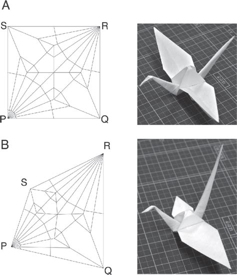 Crease Patterns For Origami Cranes Left And Photographs Of Actual