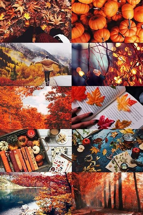 Perfect Mood Board For Autumn