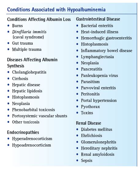 How Do You Increase Albumin Levels In Dogs