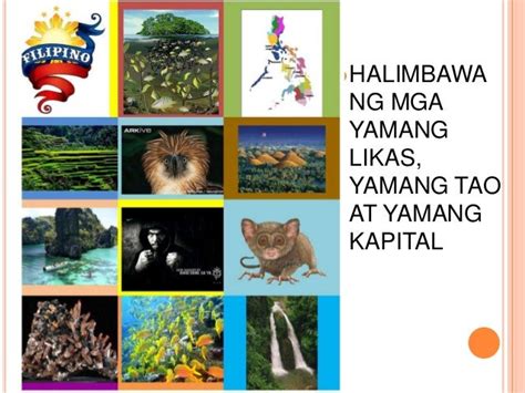 Ano Ang Kahalagahan Ng Yamang Lupa Sa Ating Bansa Images And Photos Images