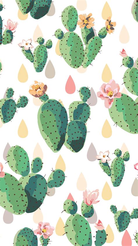 13 Cute Cactus Wallpapers Wallpapersafari