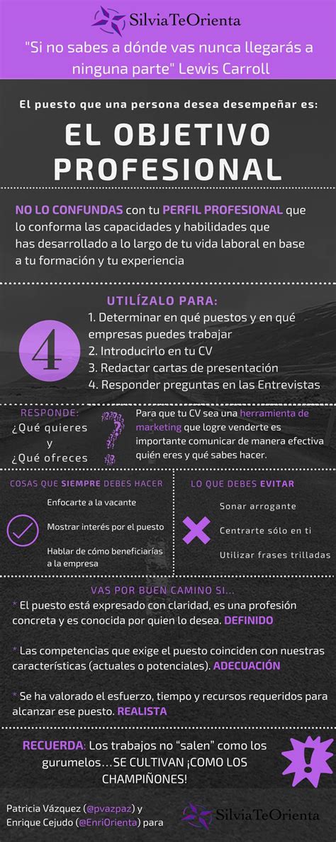 Qué Es El Objetivo Profesional Infografia Infographic Empleo Tics