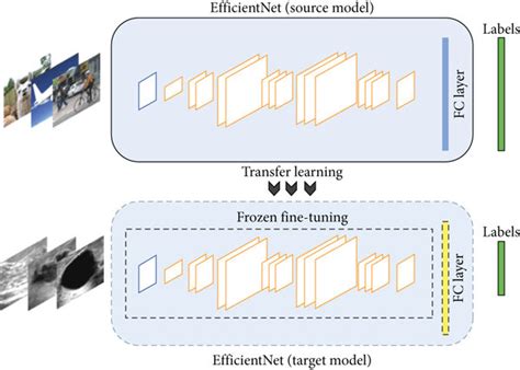 The Procedure Of Fine Tuning Efficient Net Efficient Det Core Download Scientific Diagram