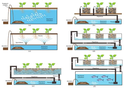 Agriculture | Free Full-Text | A Review on Hydroponics and the
