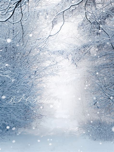 Electronics And Photo Mehofoto Winter Wonderland Backdrop Snow Landscape