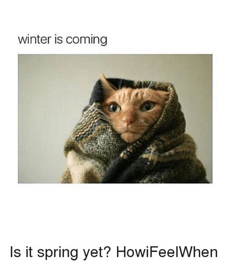 Winter Is Coming Is It Spring Yet Howifeelwhen Funny