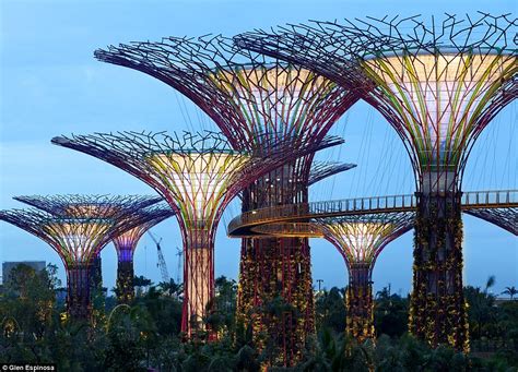 Ecological Urbanism In Singapore Supertrees By The Bay