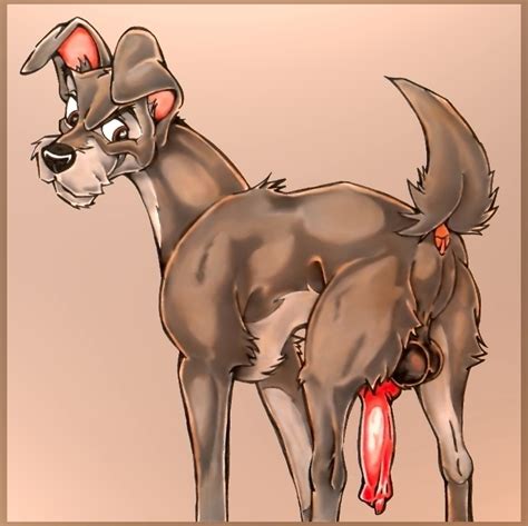 Rule 34 Disney Klaus Doberman Lady And The Tramp Male Only Penis