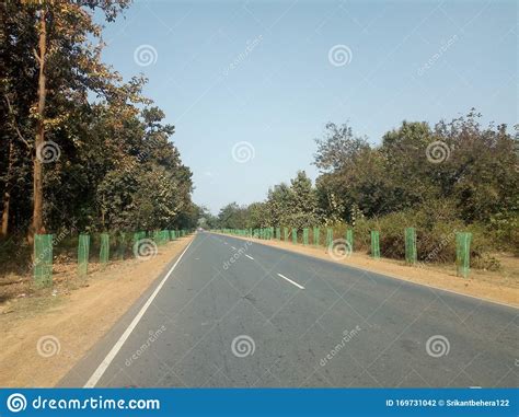 Indian National Highway Image With Sal Trees Coconut Tree Betelnut