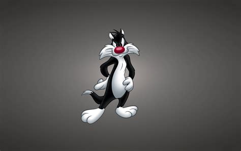 Looney Tunes Awesome Hd Backgrounds Cartoon All Hd Wallpapers