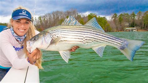 Giant Striped Bass Fishing On Lake Lanier Winter Striper Fishing Youtube