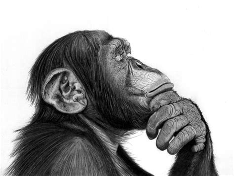 The Thinker Drawing By Paul Stowe Saatchi Art