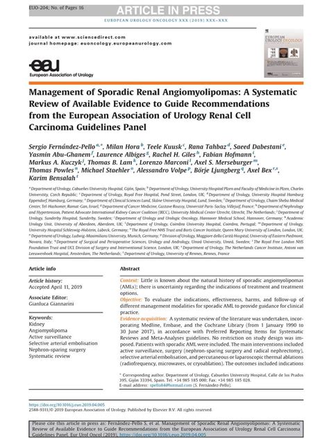 Management Of Sporadic Renal Angiomyolipomas A Systematic Review Of