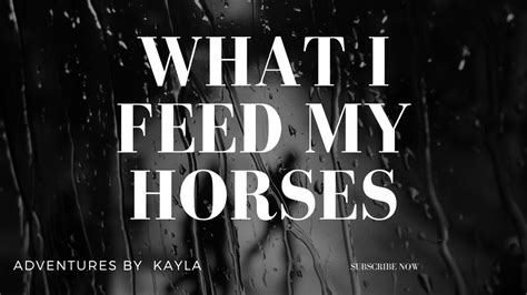 What I Feed My Horses Youtube