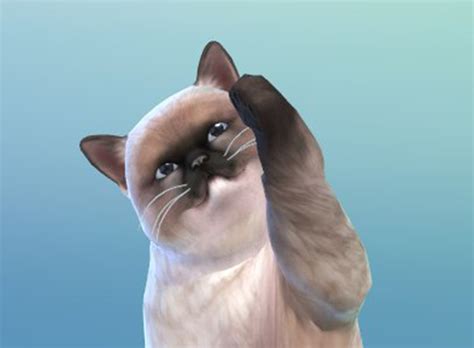 The Sims 4 Cats And Dogs New Cat Pic Simsvip