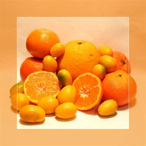 Fresh Citrus Fruitpakistan Price Supplier 21food