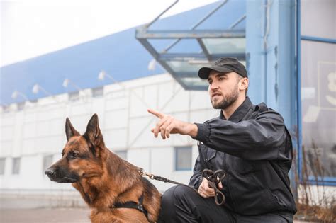 Security Dogs Vs Security Guards Which Do You Need County Uk