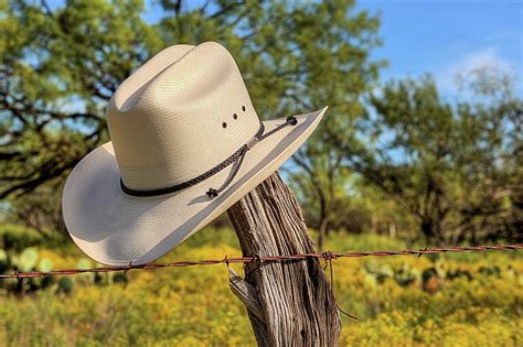 The White Stetson Photograph By Jc Findley Fine Art America