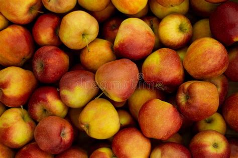 Apple Texture Fresh Ripe Red Apples As Backgroundapple Harvest Stock