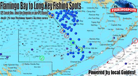 Everglades City Fishing Spots All About Fishing