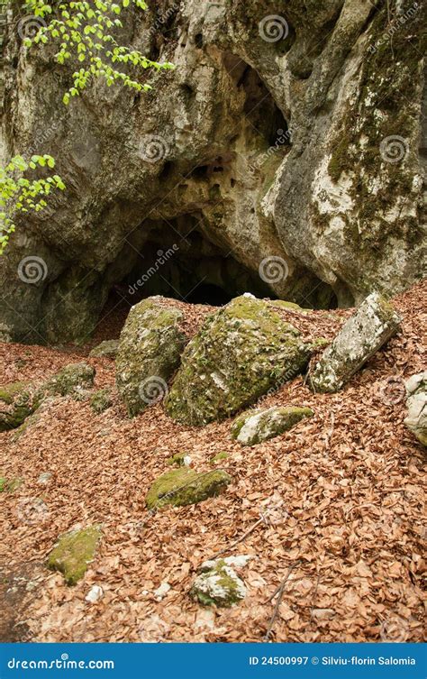 Small Cave Entrance In A Forest Stock Image Image Of Leaf Tunnel