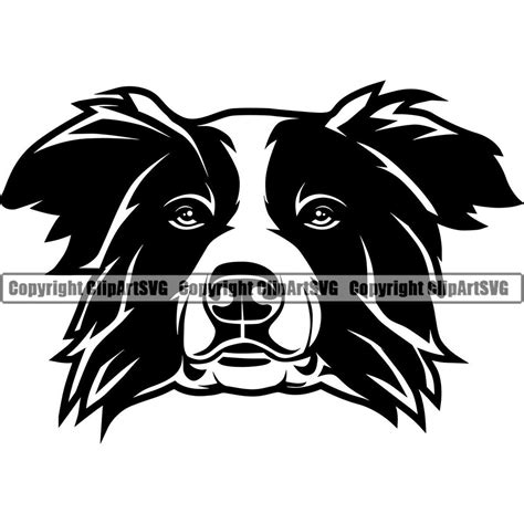 Border Collie Dog Breed Happy Face Puppy Animal Pet Pedigree Silhouette