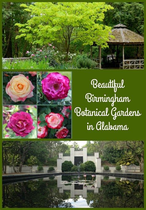 The staff was very welcoming and as the area's premier plant nursery offering a wide selection of locally grown plants and flowers, cedar. Hidden Gems: Birmingham Botanical Gardens • #flowers # ...