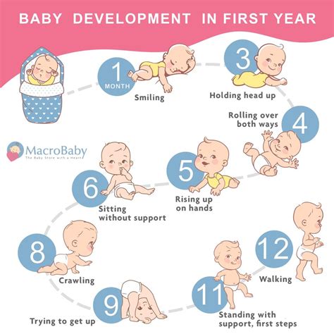 Macrobabyusa On Instagram “babys Growth And Development In The First
