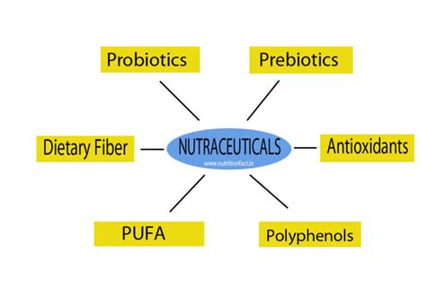 Nutraceuticals Definition Types And Sources